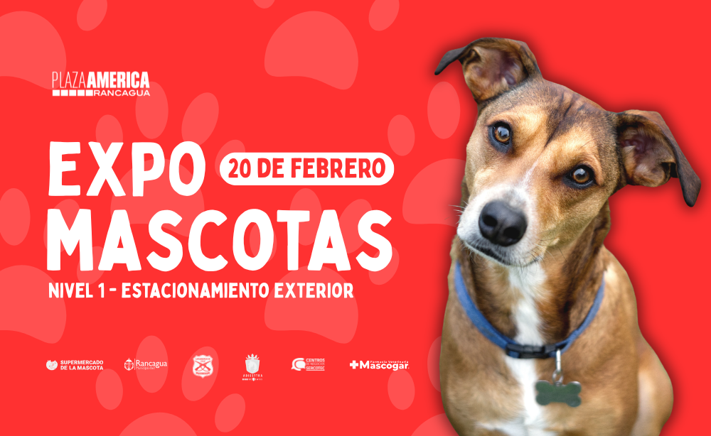 Expo Mascotas llega a Mall Plaza América con jornada de adopción y actividades familiares